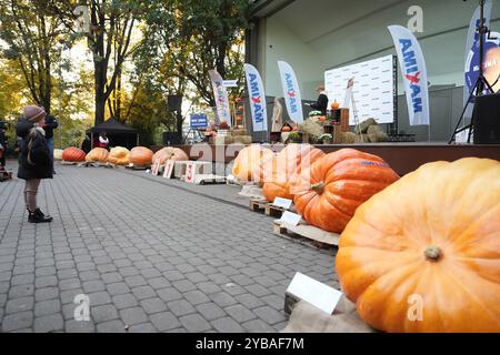 Riga, Lettonie. 17 octobre 2024. Les citrouilles sont exposées au plus grand championnat de citrouilles de Lettonie à Riga, Lettonie, 17 octobre 2024. Le 19ème championnat de citrouille de Lettonie s'est tenu ici jeudi. Credit : Edijs Palens/Xinhua/Alamy Live News Banque D'Images