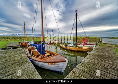 Voiliers dans le port d'Althagen sur le Saaler Bodden, ambiance du soir, Ahrenshoop, péninsule de Fischland-Darss-Zingst, mer Baltique, Mecklenburg-Western po Banque D'Images