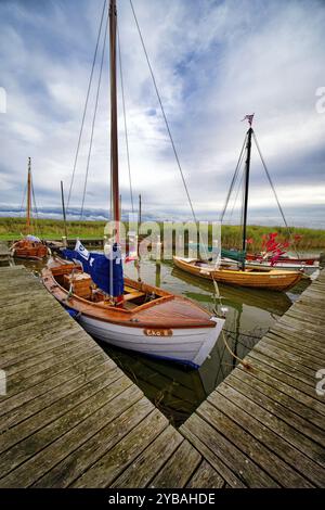 Voiliers dans le port d'Althagen sur le Saaler Bodden, ambiance du soir, Ahrenshoop, péninsule de Fischland-Darss-Zingst, mer Baltique, Mecklenburg-Western po Banque D'Images