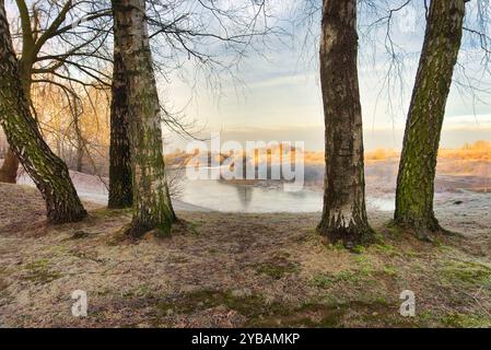 Paysage serein avec trois grands arbres au premier plan surplombant la rivière calme. La scène est baignée d'une douce lumière matinale avec de la brume qui s'élève Banque D'Images