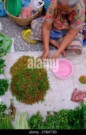 Un vendeur de légumes et d'épices triant les petits poivrons verts et rouges sur le stand de rue dans le marché du matin. Luang Prabang. Laos Banque D'Images
