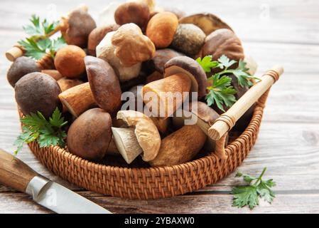 Une collection de champignons frais assortis est magnifiquement arrangée dans un panier tissé, accompagné d'un couteau et d'herbes vibrantes sur une table en bois, showca Banque D'Images