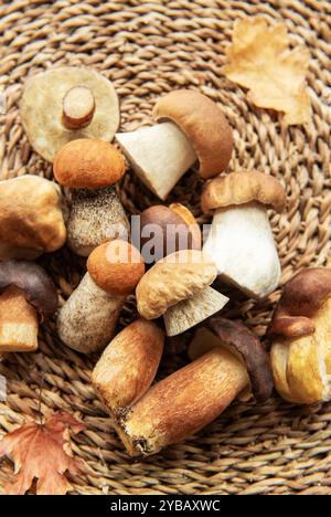 Différents types de champignons sauvages sont exposés sur un tapis tissé, accompagnés de feuilles d'automne vibrantes, mettant en valeur la récolte saisonnière dans la nature. Banque D'Images
