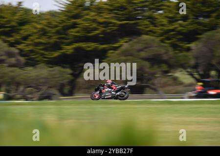 MELBOURNE, AUSTRALIE. 18 octobre 2024. Entraînement MotoGP au Qatar Airways Australian Motorcycle Grand Prix 2024 qui s'est tenu sur le circuit de Phillip Island. Crédit : Karl Phillipson/Alamy Live News Banque D'Images