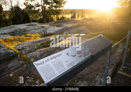 Une sensation archéologique a été déchiffrée sur une dalle de pierre de l'âge du bronze à l'extérieur de Enköping. Trois sculptures rupestres millénaires sur Hemstahällen ont maintenant été décodées. Les figures considérées comme des images incompréhensibles sous la forme de bateaux, de géants et d'animaux se sont avérées être une copie complète et une reproduction de la saga viking 'Ingvar Vittfarnes saga' qui a été enregistrée beaucoup plus tard en Islande, 1000 ans après JC. C'est l'archéologue et historien Jonathan Lindström qui, dans son nouveau livre "L'histoire la plus ancienne du monde", prouve combien les anciens mythes européens ont également été Banque D'Images