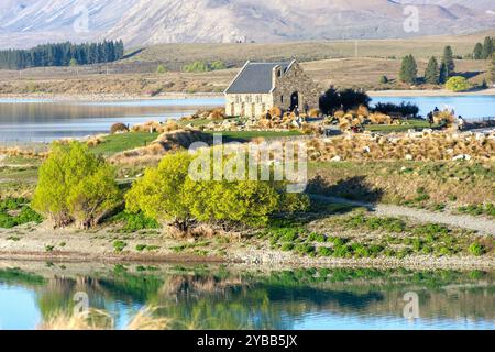 Vue du lac Tekapo montrant l'église du bon Pasteur, Tekapo (Takapō), Canterbury, Île du Sud, Nouvelle-Zélande Banque D'Images