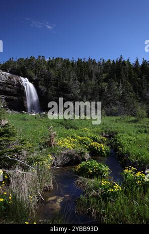 Hidden Falls, Sheaves Cove, Terre-Neuve-et-Labrador, T.-N.-L., Canada Banque D'Images