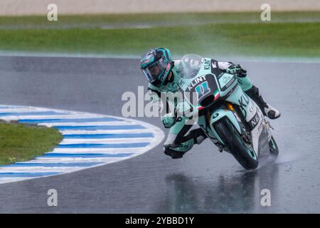 Phillip Island, Victoria, Australie. 18 octobre 2024. Vendredi, au Qatar Airways Australian Motorcycle Grand Prix 2024. (Crédit image : © James Forrester/ZUMA Press Wire) USAGE ÉDITORIAL SEULEMENT! Non destiné à UN USAGE commercial ! Banque D'Images