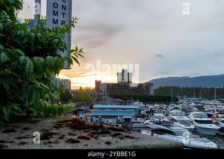 Vancouver, Canada - 12 octobre 2022 : une vue sur la marina de Vancouver au coucher du soleil, avec des yachts de luxe amarrés au port, avec l'hôtel Westin à Banque D'Images