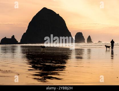 Bavardage avec un chien au coucher du soleil le long de la côte de l'Oregon à Cannon Beach Banque D'Images