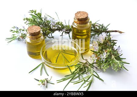 Bocaux et bol avec de l'huile de romarin et des branches de romarin à fleurs sur plancher blanc et fond isolé blanc. Vue surélevée. Banque D'Images