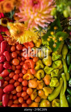 Légumes et fleurs colorés disposés dans des teintes arc-en-ciel. Banque D'Images