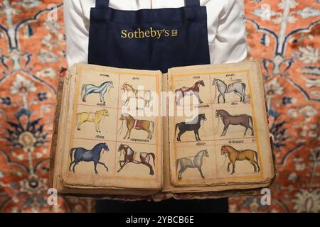 Un manuscrit illustré de la fin du XVIIIe siècle et du début du XIXe siècle sur les chevaux : deux traités de Shalihotra sur la médecine équine, estimés à £20 000 à £30 000 exposés aux galeries Sotheby's, New Bond Street à Londres avant la prochaine vente des Arts du monde islamique et de l'Inde. Date de la photo : vendredi 18 octobre 2024. Banque D'Images