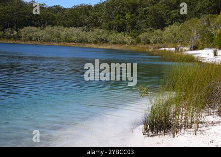 Pagayage au lac Makenzie K'gari Island Australie Banque D'Images