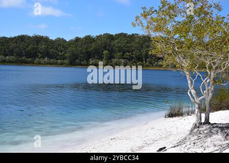 Lac Makenzie K'gari Island Australie Banque D'Images