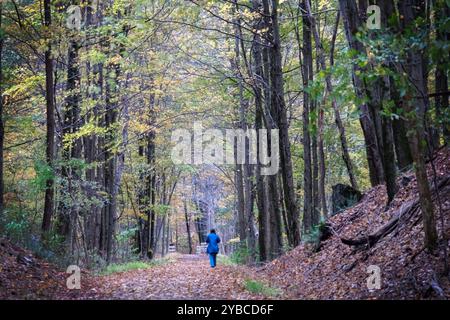 Une femme marche sur le Wallkill Valley Rail Trail à Rosendale, New York, une banlieue de New Paltz. En automne 2024. Banque D'Images
