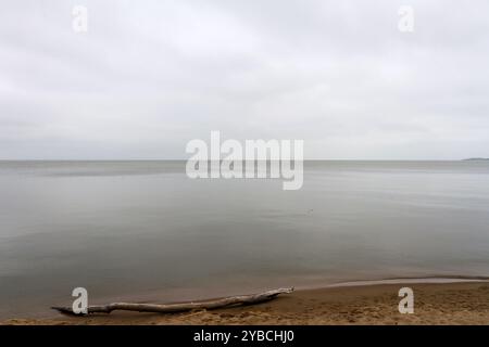 Paysage à la lagune de Curonian par un jour sombre Banque D'Images