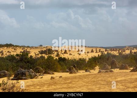 Pinnacles Desert Park dans le parc national de Nambung, Australie occidentale. Formations rocheuses Hugh poussant à partir des sables dorés du désert. Banque D'Images