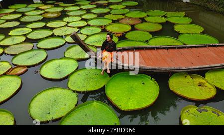 Drone tir de fille sur le bateau entouré de Victoria Amazonica paysage naturel plantes aquatiques Banque D'Images