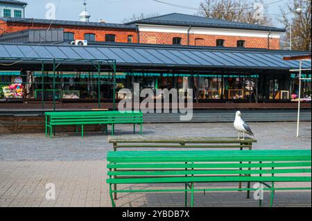 Une mouette se tient seule sur un banc vert dans une place de marché paisible sous un ciel clair. Banque D'Images