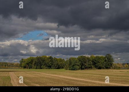 Paysage rural d'automne inférieur de Silésie avec ciel spectaculaire Banque D'Images