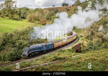 BR 4-6-2 'A4' No. 60007 'Sir Nigel Gresley' passe devant Darnholme sur le North Yorkshire Moors Railway Banque D'Images