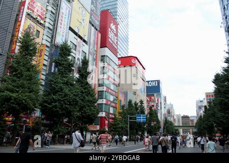 Tokyo, Japon - juillet 30 2017 : scène de rue animée d'Akihabara, Tech et Otaku Hub de Tokyo, avec des gens le dimanche, lorsque la rue est fermée Banque D'Images