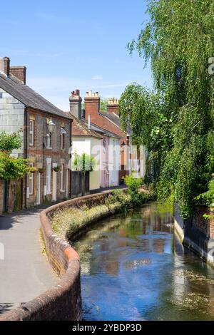 Chemin d'eau vers les maisons par la rivière Avon ou le Salisbury Avon traversant Salisbury UK Salisbury Wiltshire Salisbury England UK GB Europe Banque D'Images