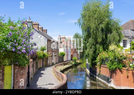 Chemin d'eau vers les maisons par la rivière Avon ou le Salisbury Avon traversant Salisbury UK Salisbury Wiltshire Salisbury England UK GB Europe Banque D'Images