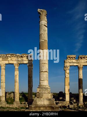 Colonne monumentale et colonnade, Apamée, Syrie, 2002. Ruines d'une ancienne cité grecque et romaine. Banque D'Images