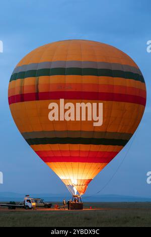 Ballon Ariel gonflé avant un vol à l'aube au-dessus du Masai Mara, Kenya, Afrique Banque D'Images