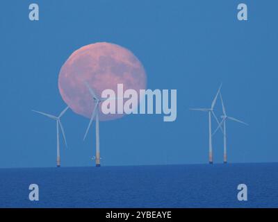 Warden Bay, Kent, Royaume-Uni. 18 octobre 2024. Météo Royaume-Uni : la super lune du chasseur vue se lever derrière le parc éolien de Kentish Flats depuis Warden Bay, Kent. Crédit : James Bell/Alamy Live News Banque D'Images