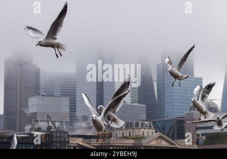 Londres, Royaume-Uni. 18 octobre 2024. Les mouettes volent au-dessus de la Tamise alors que le brouillard descend sur la City de Londres, le quartier financier de la capitale. (Photo de Vuk Valcic/SOPA images/SIPA USA) crédit : SIPA USA/Alamy Live News Banque D'Images