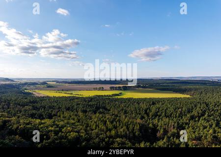 Vue imprenable depuis les ruines du château de Regenstein dans le Harz, en Allemagne, présentant de vastes forêts, des terres agricoles et un ciel bleu clair avec des nuages éparpillés Banque D'Images