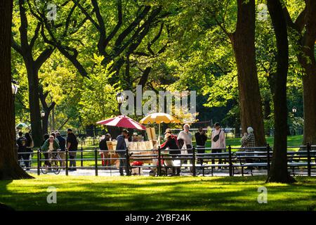 Central Park à New York City est magnifique pendant la saison d'automne, 2024, USA Banque D'Images