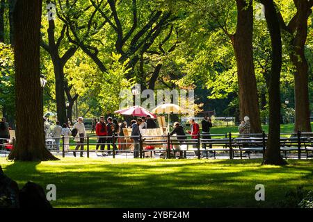 Central Park à New York City est magnifique pendant la saison d'automne, 2024, USA Banque D'Images