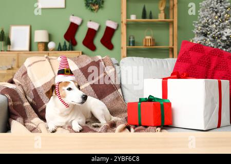 Mignon chien Jack Russell Terrier dans le bandeau de chapeau d'elfe avec des boîtes cadeaux de Noël sur le canapé à la maison Banque D'Images