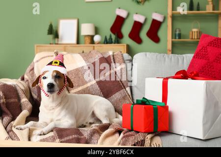 Mignon chien Jack Russell Terrier dans le bandeau de chapeau d'elfe avec des boîtes cadeaux de Noël sur le canapé à la maison Banque D'Images