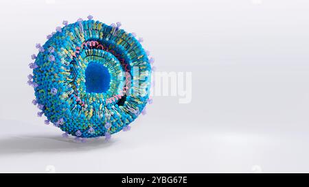 Structure lipoplex cationique, illustration. Les lipoplexes cationiques sont un type de nanoparticule lipidique (LNP) utilisé pour la livraison de gènes. Ils sont formés d'acides nucléiques intercalés entre les bicouches lipidiques. Banque D'Images