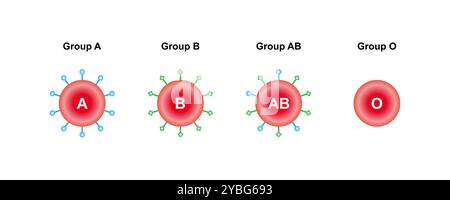 Groupes sanguins ABO, illustration. Banque D'Images