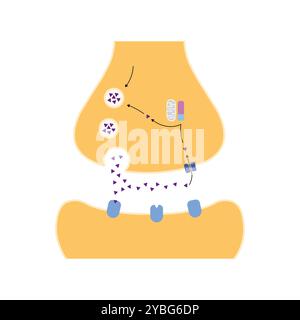 Inhibiteur de la monoamine oxydase, illustration. Banque D'Images