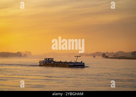 Cargos sur le Rhin près d'Emmerich, tôt le matin, lever du soleil, brouillard, brume sur le fleuve, Rhénanie du Nord-Westphalie, Allemagne, Europe Banque D'Images