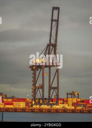 Shotley Gate, Suffolk, Angleterre, Royaume-Uni, 22 novembre 2022 : vue du pont à conteneurs dans le port de Felixstowe avec des conteneurs en arrière-plan Banque D'Images