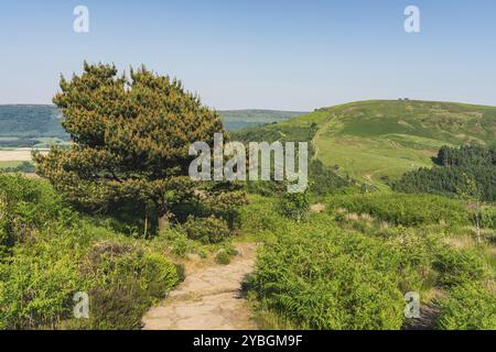 Le sentier de randonnée vers les Wainstones près de Great Broughton, North Yorkshire, Angleterre, Royaume-Uni Banque D'Images