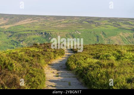 Le sentier de randonnée vers les Wainstones près de Great Broughton, North Yorkshire, Angleterre, Royaume-Uni Banque D'Images