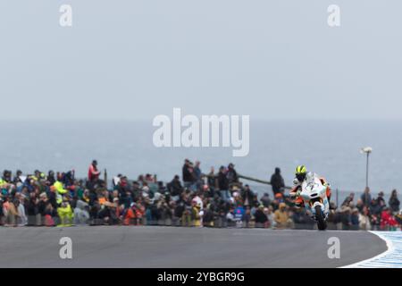 Melbourne, Australie, 19 octobre 2024. Barry Baltus sur Fieten Honda lors du MotoGP australien sur le circuit du Grand Prix de Phillip Island le 19 octobre 2024 à Melbourne, en Australie. Crédit : Dave Hewison/Speed Media/Alamy Live News Banque D'Images