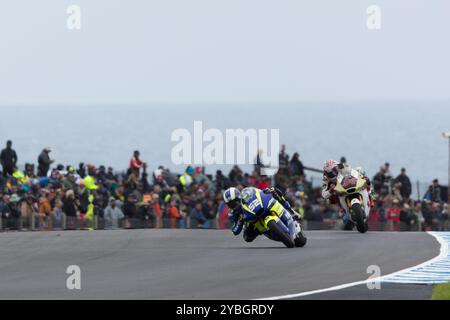 Melbourne, Australie, 19 octobre 2024. Jeremy Alcoba sur la Correos Ducati lors du MotoGP australien sur le circuit du Grand Prix de Phillip Island le 19 octobre 2024 à Melbourne, en Australie. Crédit : Dave Hewison/Speed Media/Alamy Live News Banque D'Images