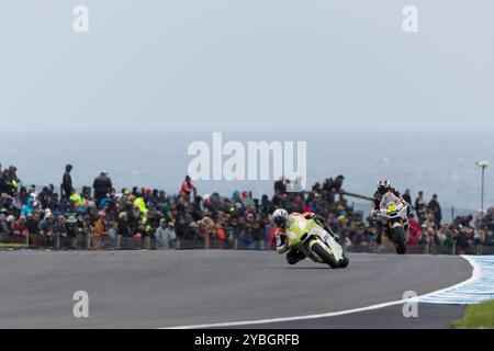 Melbourne, Australie, 19 octobre 2024. Jaume Masia sur la Pertamina Honda lors du MotoGP australien sur le circuit du Grand Prix de Phillip Island le 19 octobre 2024 à Melbourne, en Australie. Crédit : Dave Hewison/Speed Media/Alamy Live News Banque D'Images