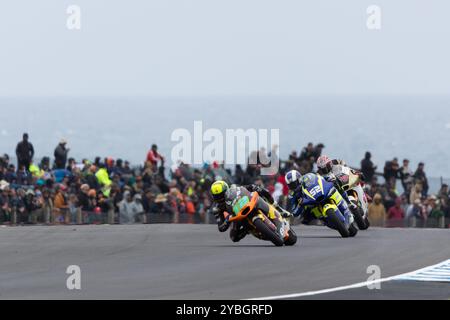 Melbourne, Australie, 19 octobre 2024. Filip Salač sur Elf Yamaha lors du MotoGP australien sur le circuit du Grand Prix de Phillip Island le 19 octobre 2024 à Melbourne, en Australie. Crédit : Dave Hewison/Speed Media/Alamy Live News Banque D'Images