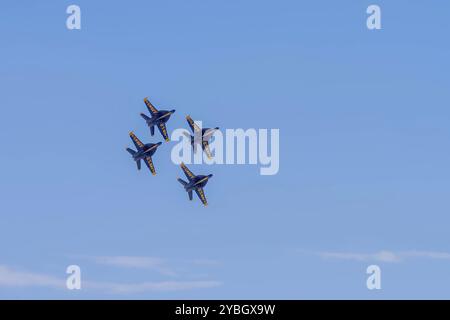 Les Blue Angels d'élite de l'US Navy affinent la précision dans le désert californien, pratiquant des vols en formation complexe au Naval Air Field El Centro pour l'upco Banque D'Images